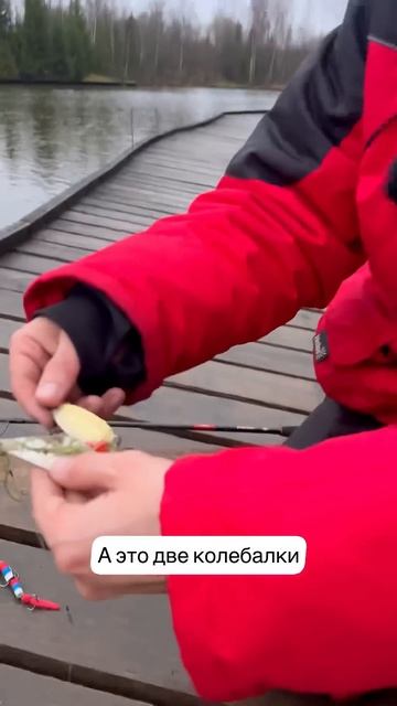 Искали щуку, а нашли золото #рыбалка #спиннинг #щука смотреть онлайн