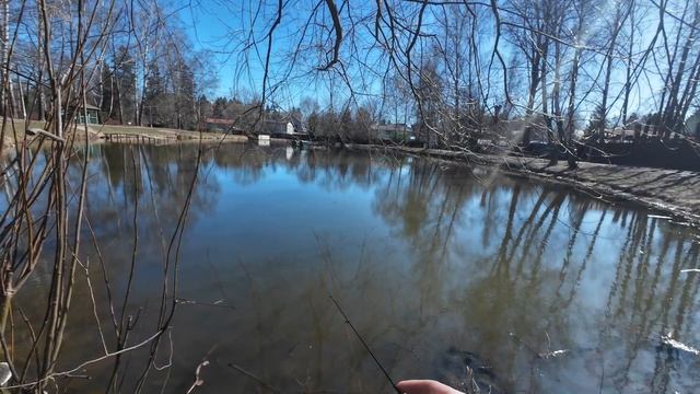 Почему спиннинг Dark Lord II The 