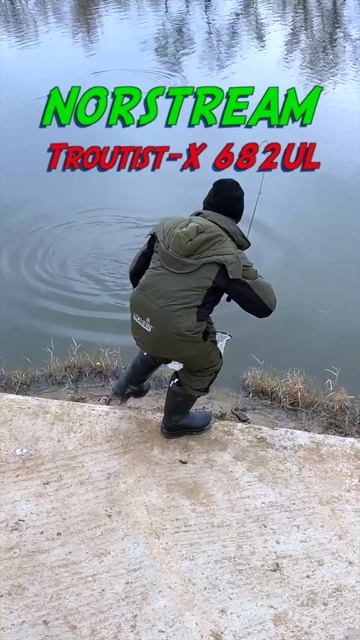 Рекордная форель на Troutist-X 682UL от Norstream #norstream #fishing #рыба? смотреть онлайн