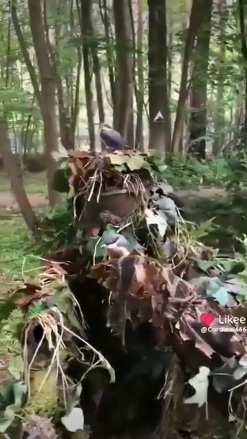 Маскировка игрока в страйкбол оказалась настолько хо?