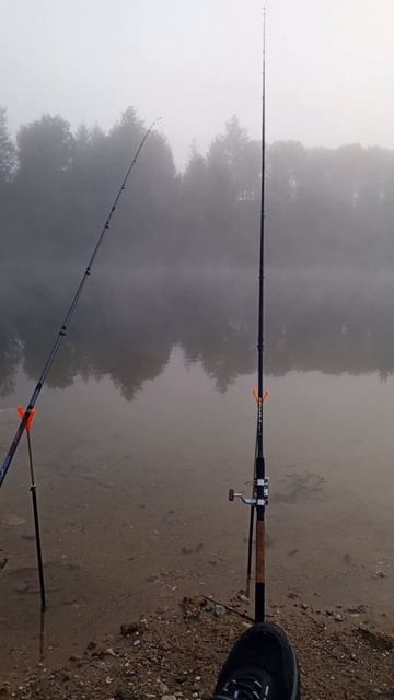 Где лучше ловить рыбу? #fishing #фидер #рыбалка #юмор