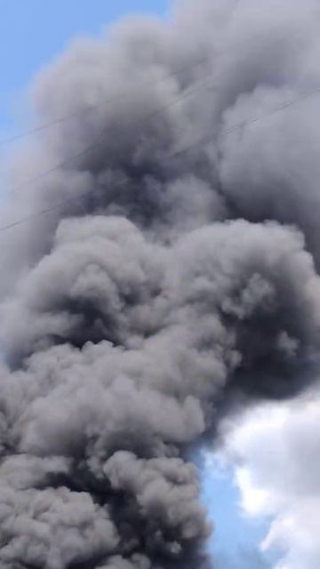 Горит Детская площадка в Кокошкино 2022.09.06. смотреть онлайн