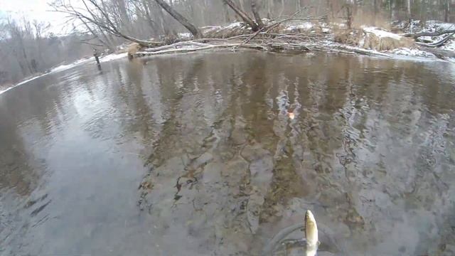 Закрытие сезона на открытой воде 2024 года. смотреть онлайн