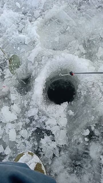 зимняя рыбалка на мормышку смотреть онлайн