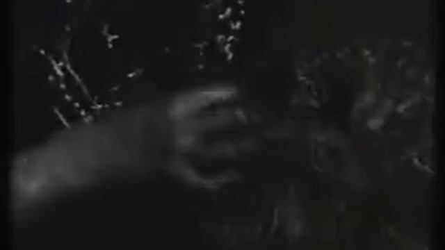 Смоки Мо - На Пути у Богов смотреть онлайн