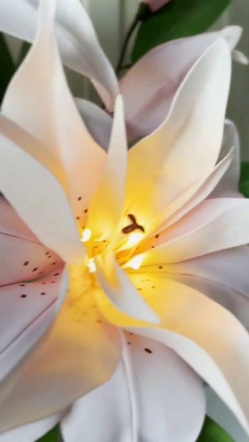 Кудрявая лилия смотреть онлайн