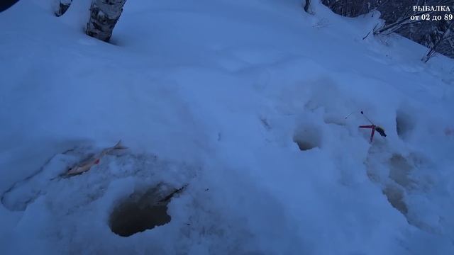 Не зря бурил я 20 лунок. Река Нанкпёх во всей красе. Зимн смотреть онлайн