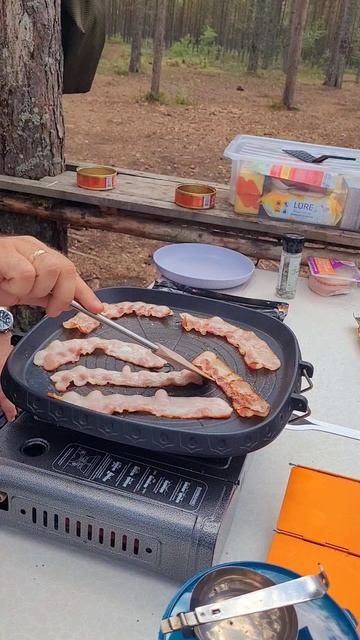 Карелия 2024. Бекон на походном гриле. Походная еда. Июль смотреть онлайн