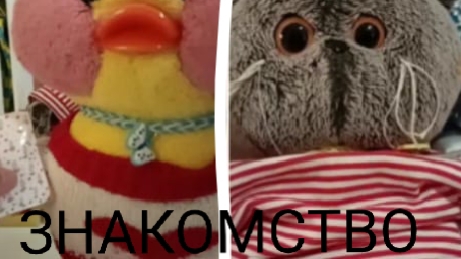 ПЕРВОЕ ВИДЕО🫶🏻🌺 ЗНАКОМСТВО ♥️💗🍫🎄