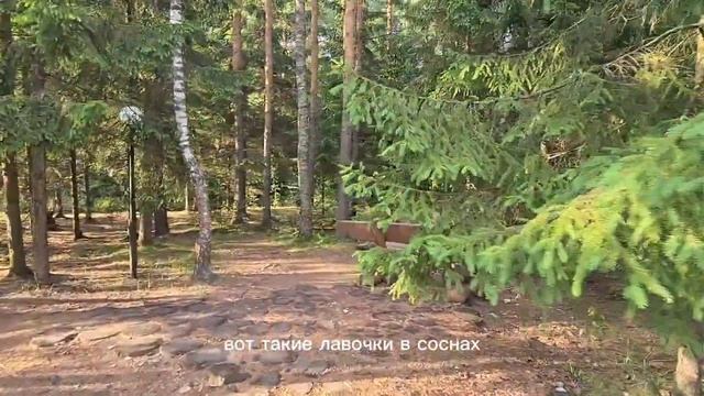 ОЗЕРО.ПЛАТНАЯ РЫБАЛКА. #озеро #отдыхсемьёй #природа #ле смотреть онлайн