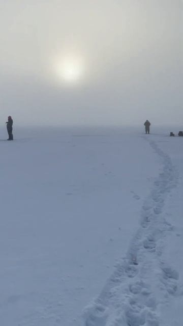 Зимняя рыбалка #рыбалка #зимний улов