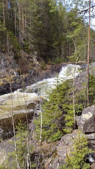 Карелия.Водопад Кивач