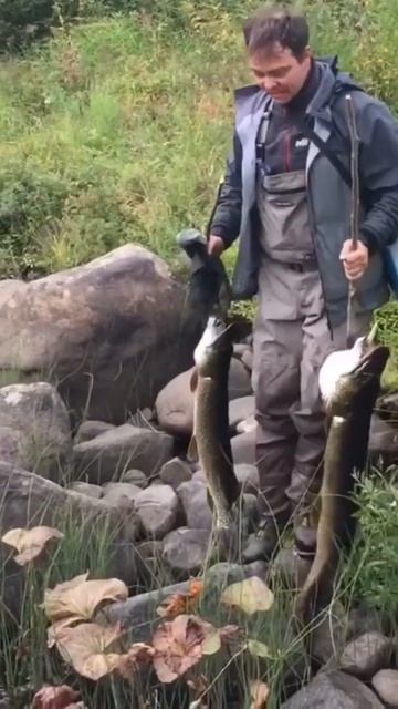 Рыбалка на щуку #рыбалка #спиннинг #рыбалканаспиннинг смотреть онлайн