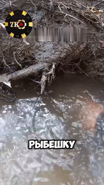 ВЫЛОВИЛИ МЕГАЛОДОНА😱 смотреть онлайн