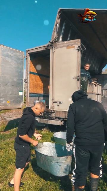 Озеро в которое мы сазана запускаем Свободная рыбалка