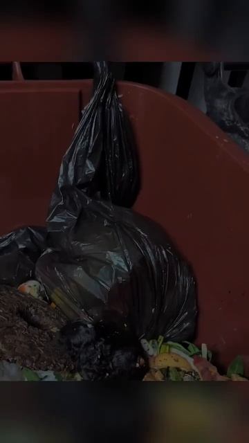 Хорошо , что  есть люди с хорошей душой.#подпишись