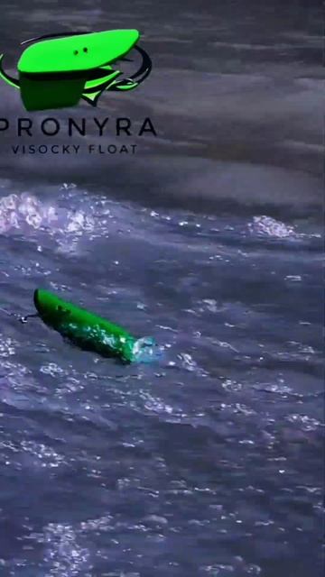 Другой Поплавок. #проныра #fishing #поплавок_высоцкого #бо? смотреть онлайн