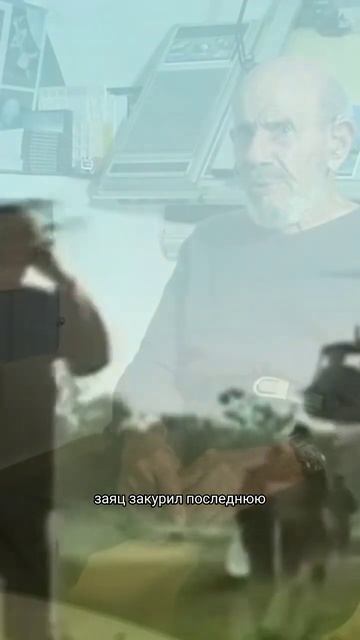 Вышел заяц на крыльцо... #мемы2024 #хахаха #прикол #смешно смотреть онлайн