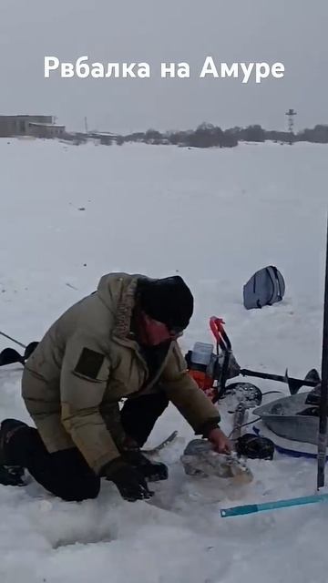 #рыбаки #рыбалка #актив #automobile #зима #fishing #рекомендации
