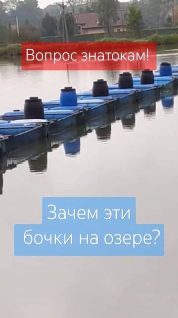 Надводное поле чудес - вопрос знатокам. #shorts @GREK1812