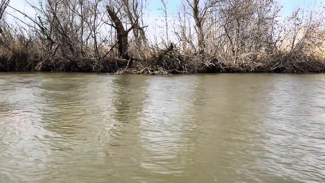 Астраханская рыбалка весной.