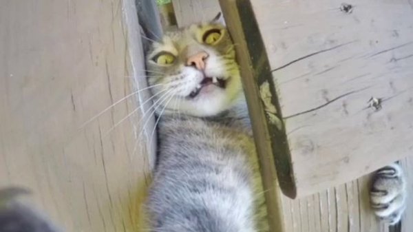 Фотографии! 🤟💪😸