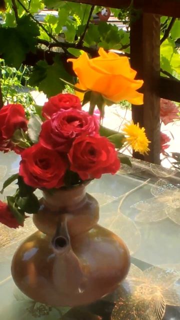 Веранда #flowers смотреть онлайн