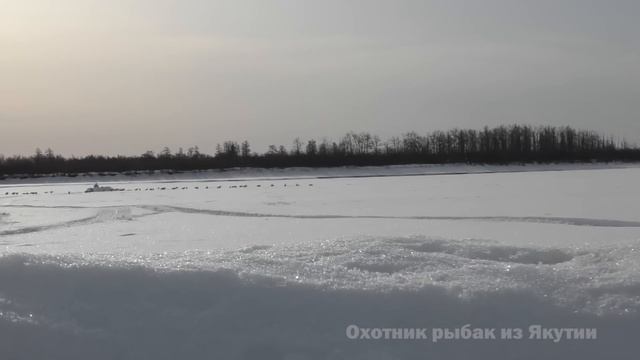 ОХОТА НА ГУСЯ НА КОЛЫМЕ 2024. 2 ЧАСТЬ. GOOSE HUNTING IN SIBERIA 2024. YAKUT смотреть онлайн