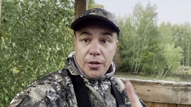 Сахарный кабан. Сентябрь 2023. Оренбургская область. смотреть онлайн