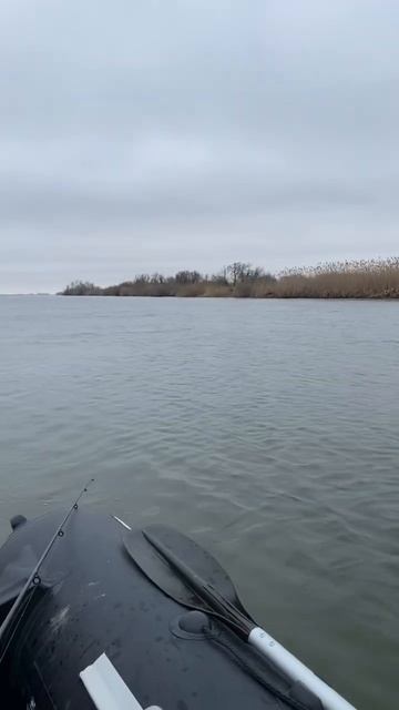 Рыбалка в Астрахани , рыбалка 2024 #reels #астраханскаяобла смотреть онлайн