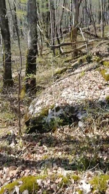 Сочи Красная поляна 1.1 смотреть онлайн