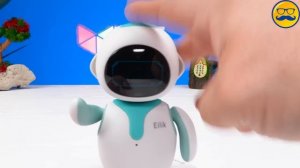 РОБОТ ЧЕЛЛЕНДЖ EILIK ИЛИ COZMO?