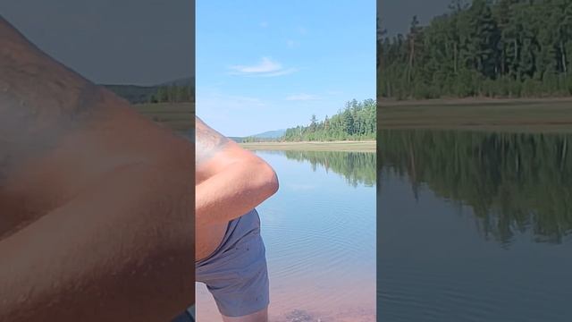 Окушок на фидер! #братск #fishing #сибирь #рыбалка #отдых смотреть онлайн