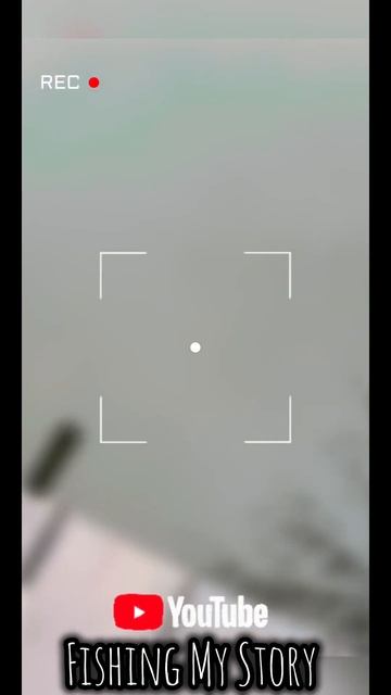 Спиннинг январь 2025