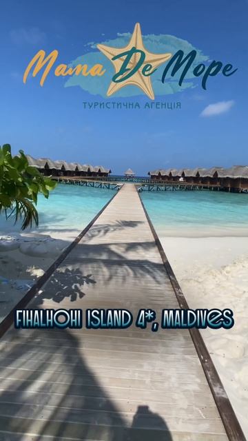 Beach villa, Fihalhohi resort 4*, Maldives #travel #short #shorts #shortvideo #мамадеморе смотреть онлайн