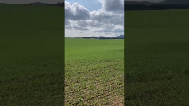 Красивые виды возле Надеинских камней. Путешествие на смотреть онлайн