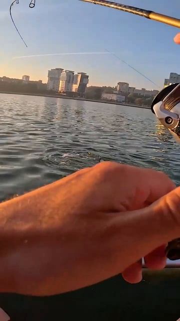 Мощная поклевка ранним утром🤩🎣 #рыбалка #казань #джи смотреть онлайн