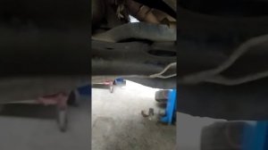 просто две правых шаровых на гольф 4,ездит же