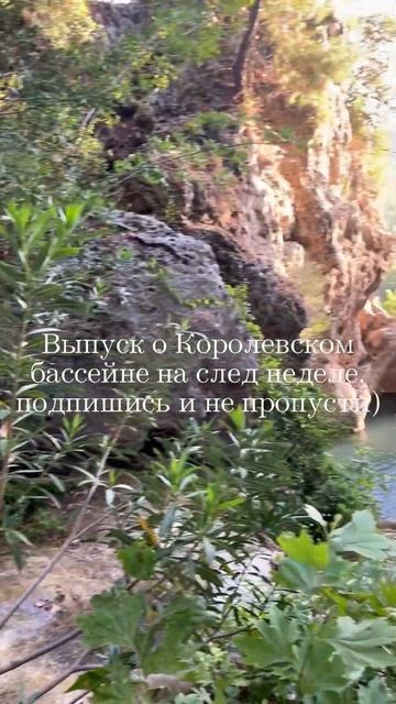 Королевский бассейн (King pool) смотреть онлайн