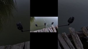 буз бар своїми руками! собівартістю 150грн