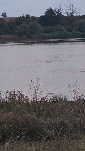 РИБОЛОВ НА ЯЗ.БЕЛИ ЛОМ смотреть онлайн