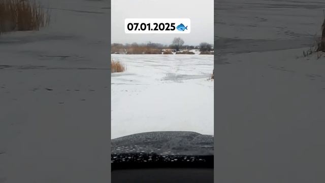 Щука на жерлицы#рыбалка #2025 смотреть онлайн