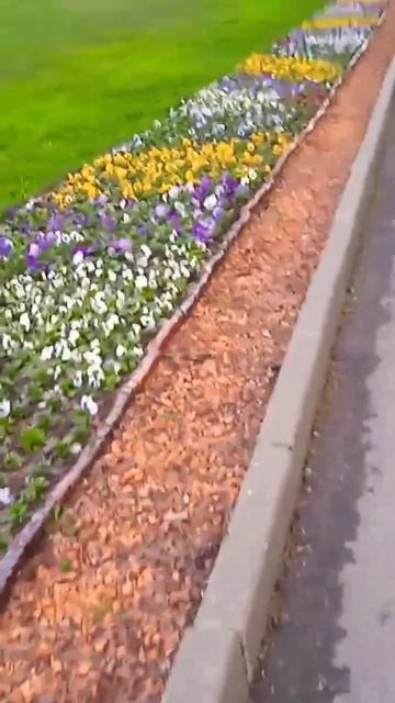 Дарите женщинам цветы💐 смотреть онлайн