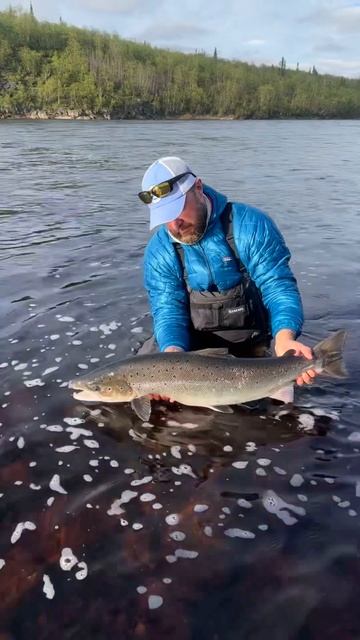 Поной Лето 2024  Ponoi river summer 2024