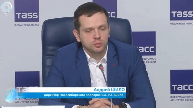 Смертельный обмен: белых медведей из Новосибирска на ?