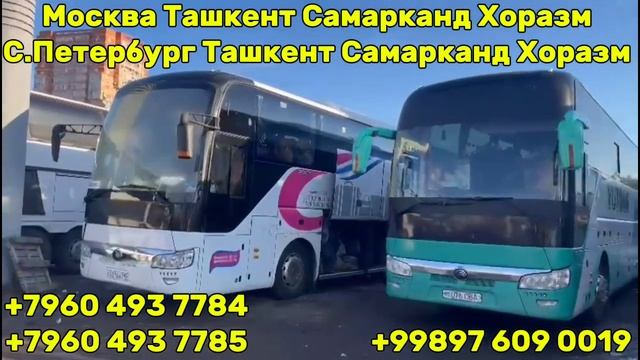 москва-ташкент автобус москва-самарканд автобус моск? смотреть онлайн