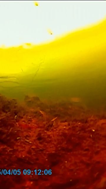 СПИЗ… Удочку-Горная Рыбалка |рыбалка в России | #fishing  #?