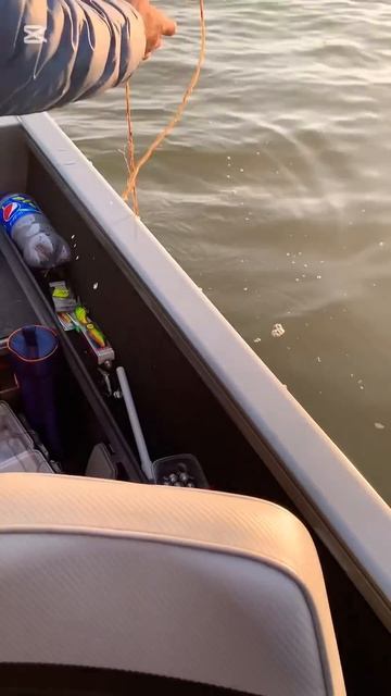 Бывает же такое на рыбалке ! 😄Удочка в дугу ! #fishing #рыб? смотреть онлайн