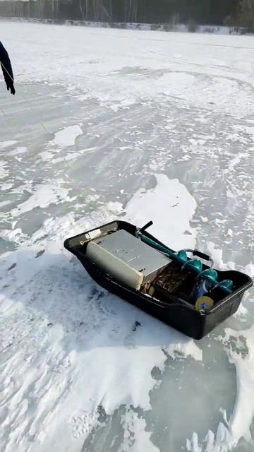 Что делать если не клюет?!🤣#shorts #fishing #рыбалка #жерлицы смотреть онлайн