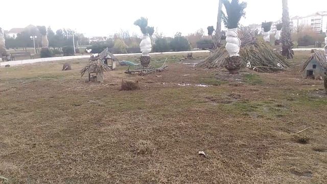 Сочи Орнетологический парк. Утки. Зайцы Гусь смотреть онлайн